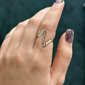 انگشتر پیچ 2